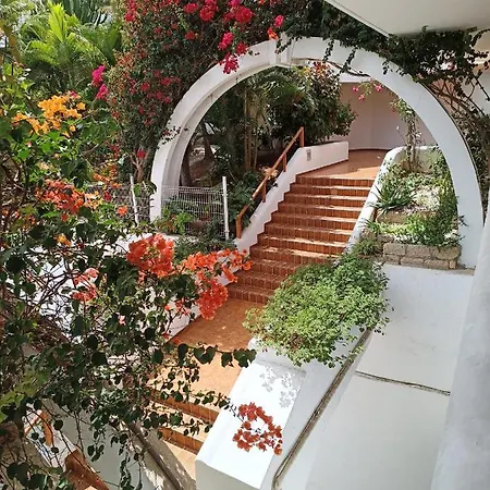 Parque Royal х Appartement *